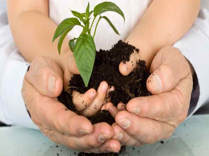 ДОСТУП ЭКОЛОГИЧЕСКОГО ОБРАЗОВАНИЯ ДЛЯ РАЗЛИЧНЫХ ДОСТУП СЛОЕВ НАСЕЛЕНИЯ ЕКОЛОГІЧНОЇ ОСВІТИ ДЛЯ РІЗНИХ ВЕРСТВ НАСЕЛЕННЯ