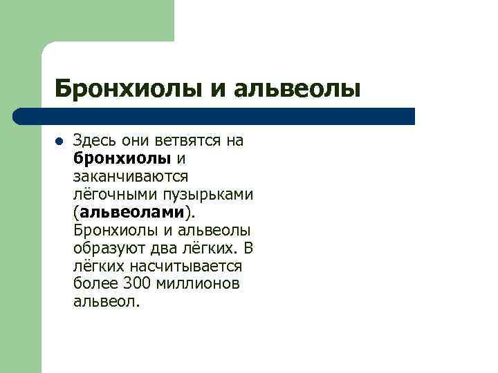 Бронхиолы и альвеолы l Здесь они ветвятся на бронхиолы и заканчиваются лёгочными пузырьками (альвеолами).