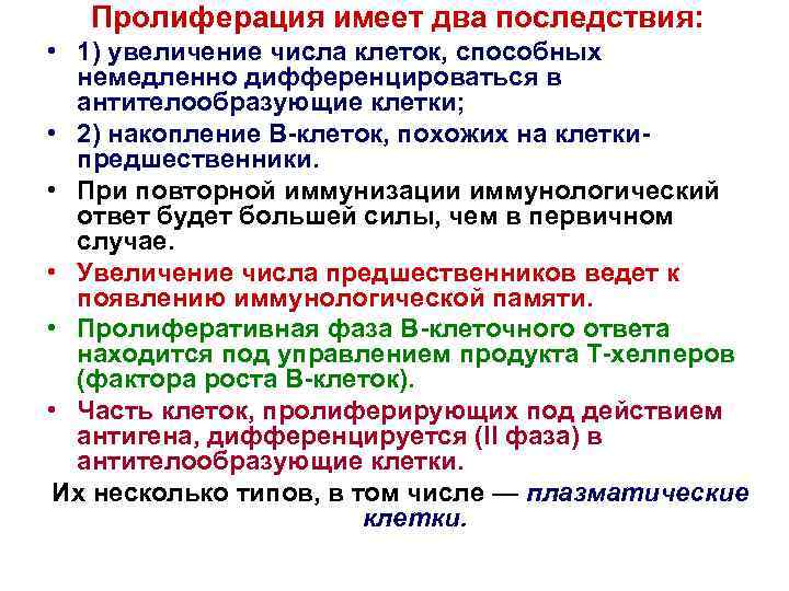 Пролиферация имеет два последствия: • 1) увеличение числа клеток, способных немедленно дифференцироваться в антителообразующие