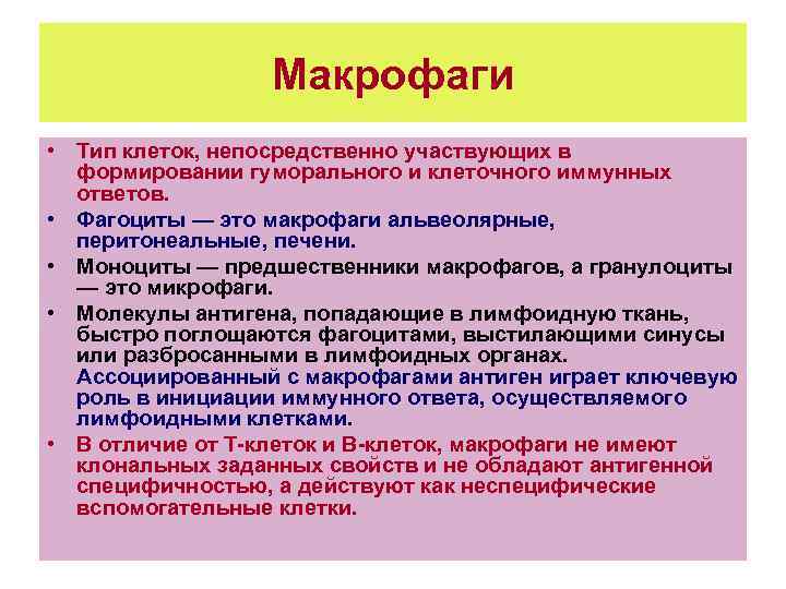Макрофаги • Тип клеток, непосредственно участвующих в формировании гуморального и клеточного иммунных ответов. •