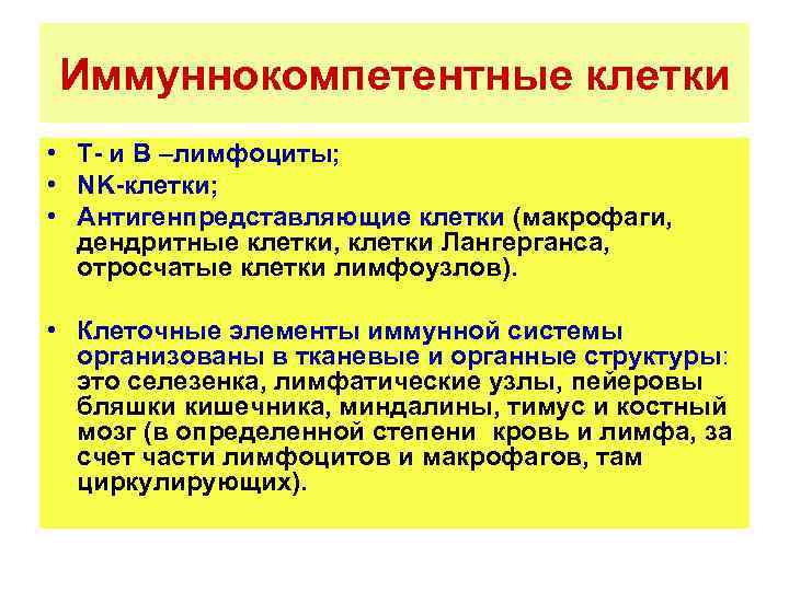 Иммуннокомпетентные клетки • Т- и В –лимфоциты; • NK-клетки; • Антигенпредставляющие клетки (макрофаги, дендритные