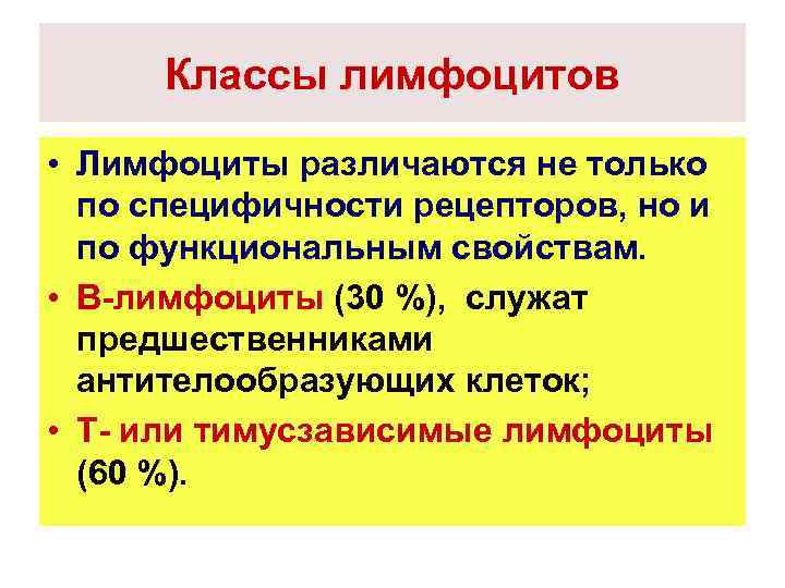 Классы лимфоцитов • Лимфоциты различаются не только по специфичности рецепторов, но и по функциональным