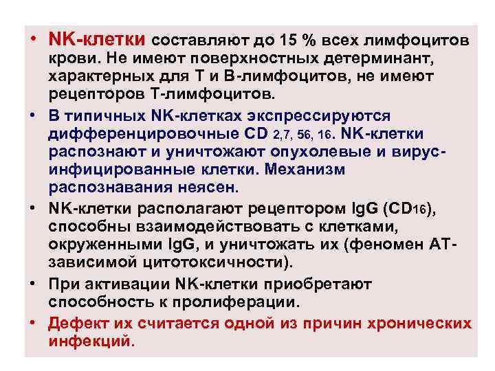  • NK-клетки составляют до 15 % всех лимфоцитов • • крови. Не имеют