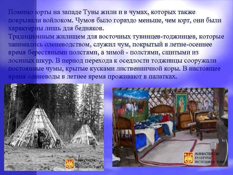 Помимо юрты на западе Тувы жили и в чумах, которых также покрывали войлоком. Чумов