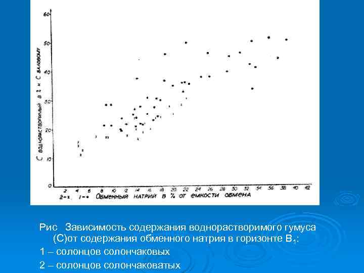 Рис Зависимость содержания воднорастворимого гумуса (С)от содержания обменного натрия в горизонте В 1: 1