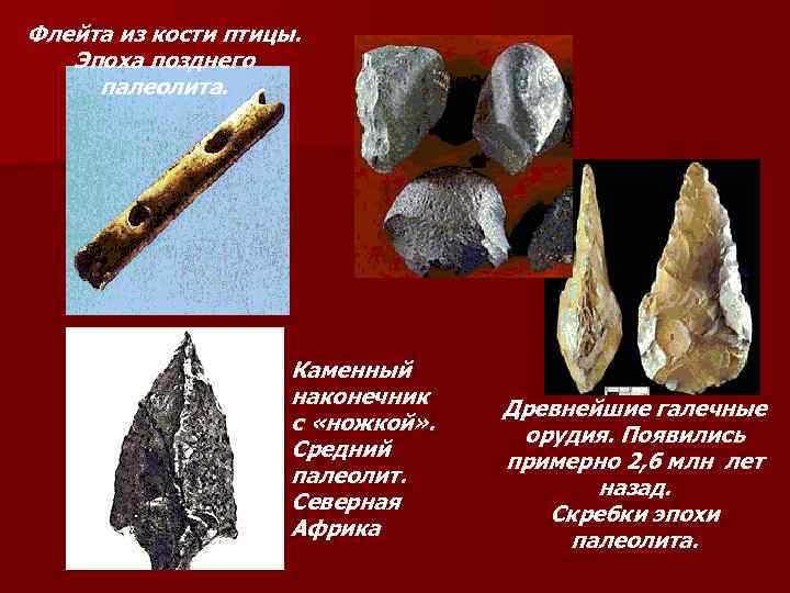 Флейта из кости птицы. Эпоха позднего палеолита. Каменный наконечник с «ножкой» . Средний палеолит.