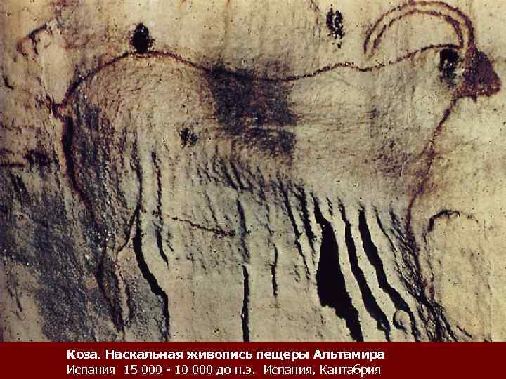 Коза. Наскальная живопись пещеры Альтамира Испания 15 000 - 10 000 до н. э.