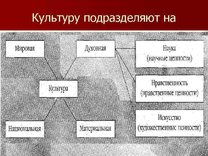 Культуру подразделяют на 