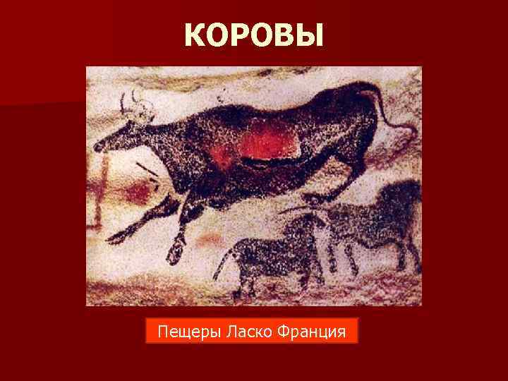КОРОВЫ Пещеры Ласко Франция 