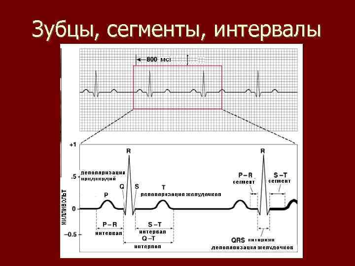 Зубцы, сегменты, интервалы 
