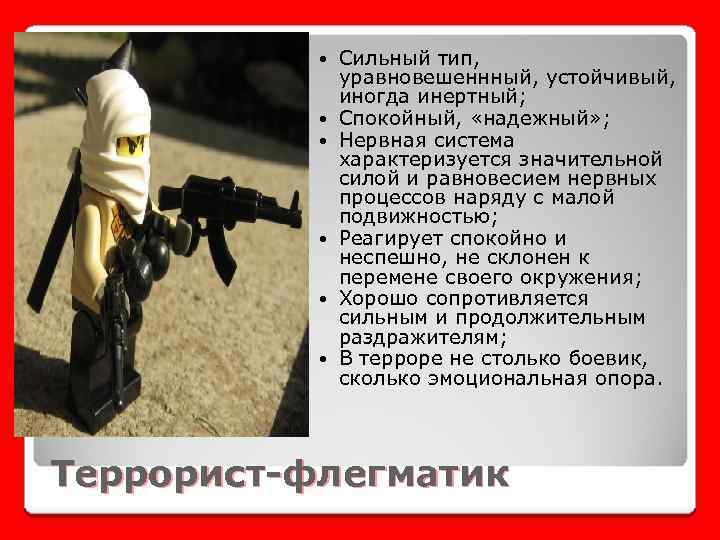  Сильный тип, уравновешеннный, устойчивый, иногда инертный; Спокойный, «надежный» ; Нервная система характеризуется значительной