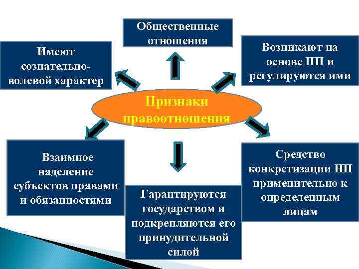 Имеют сознательноволевой характер Общественные отношения Возникают на основе НП и регулируются ими Признаки правоотношения