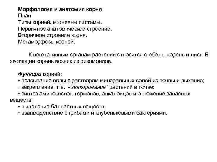 Морфология и анатомия корня План Типы корней, корневые системы. Первичное анатомическое строение. Вторичное строение