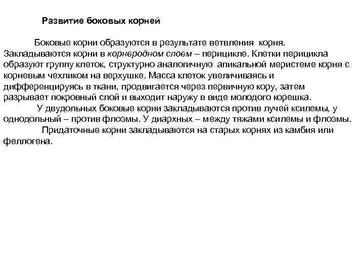 Развитие боковых корней Боковые корни образуются в результате ветвления корня. Закладываются корни в корнеродном
