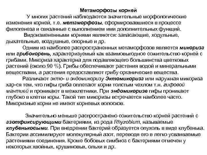 Метаморфозы корней У многих растений наблюдаются значительные морфологические изменения корней, т. е. метаморфозы, сформировавшиеся