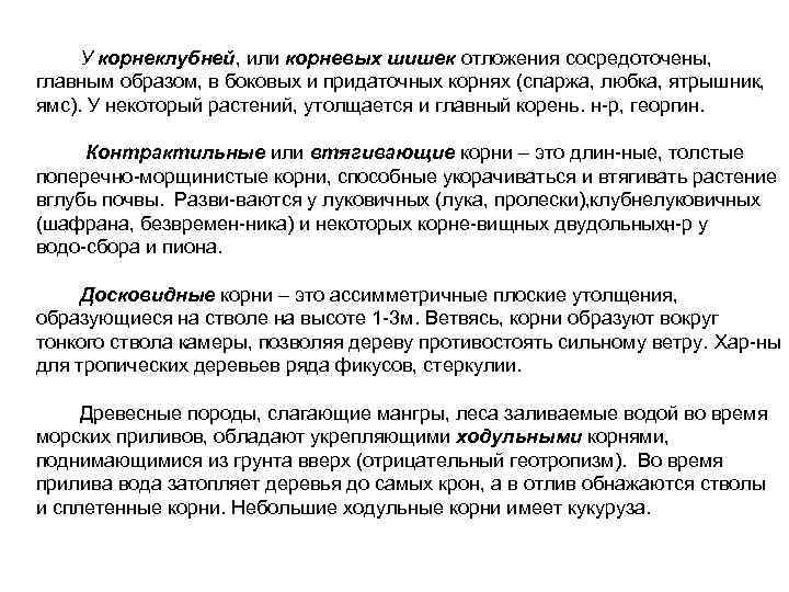 У корнеклубней, или корневых шишек отложения сосредоточены, главным образом, в боковых и придаточных корнях