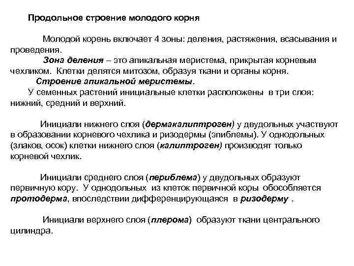 Продольное строение молодого корня Молодой корень включает 4 зоны: деления, растяжения, всасывания и проведения.