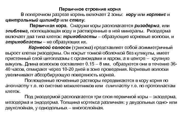 Первичное строение корня В поперечном разрезе корень включает 2 зоны: кору или кортекс и
