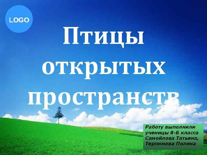 LOGO Птицы открытых пространств Работу выполнили ученицы 8 -Б класса Самойлова Татьяна, Терпимова Полина