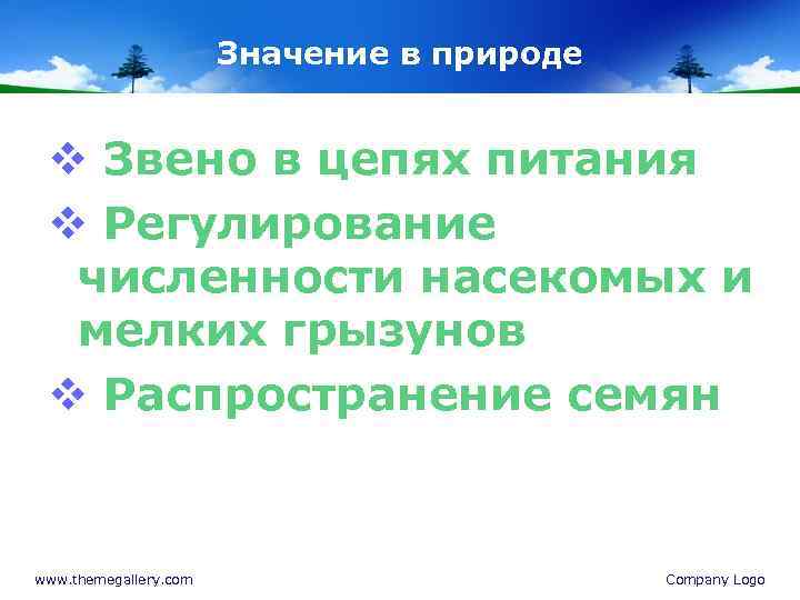 Значение в природе v Звено в цепях питания v Регулирование численности насекомых и мелких