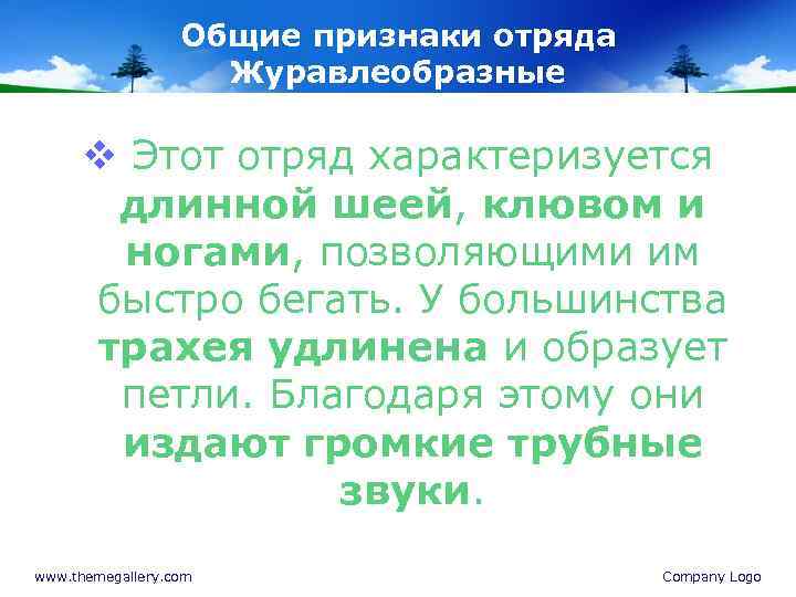 Общие признаки отряда Журавлеобразные v Этот отряд характеризуется длинной шеей, клювом и ногами, позволяющими