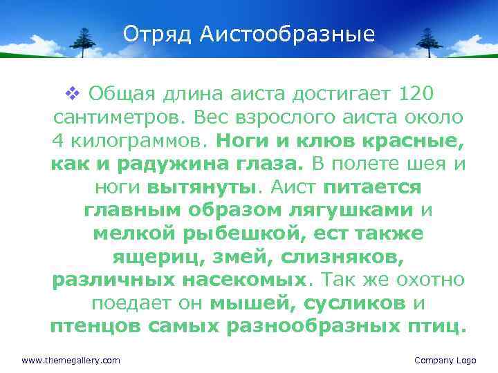 Отряд Аистообразные v Oбщая длина аиста достигает 120 сантиметров. Вес взрослого аиста около 4