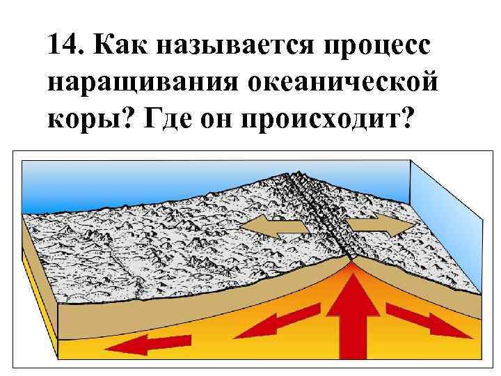 14. Как называется процесс наращивания океанической коры? Где он происходит? 