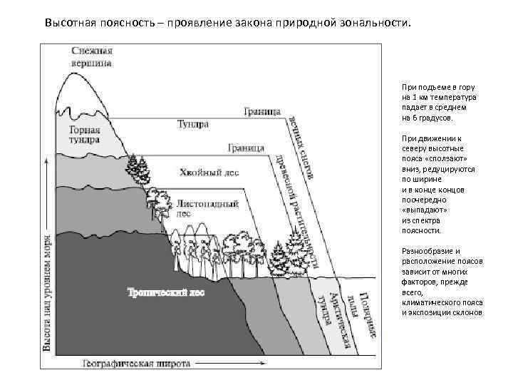 Закон зональности проявляется в. Схема естественного природного ландшафта. Вертикальная поясность растительности в горах. Вертикальная зональность. Смена растительности с высотой.