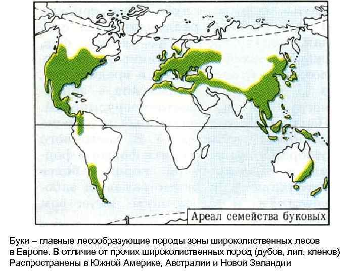 Схема природно территориального комплекса широколиственных лесов европы