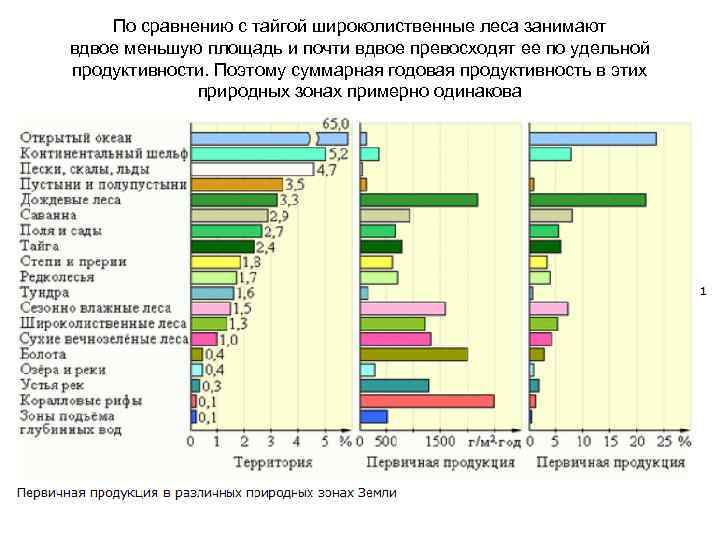 По сравнению с тайгой широколиственные леса занимают вдвое меньшую площадь и почти вдвое превосходят