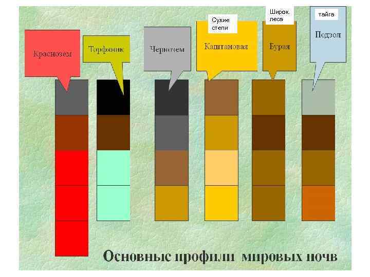 Сухие степи Широк. леса тайга 