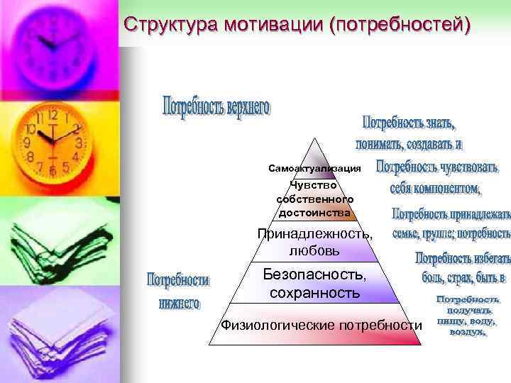Структура мотивации (потребностей) Самоактуализация Чувство собственного достоинства Принадлежность, любовь Безопасность, сохранность Физиологические потребности 