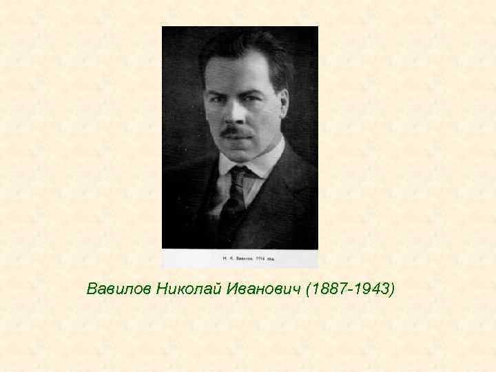 Вавилов Николай Иванович (1887 -1943) 