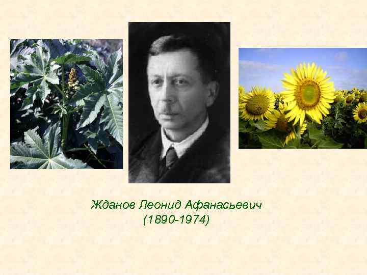 Жданов Леонид Афанасьевич (1890 -1974) 