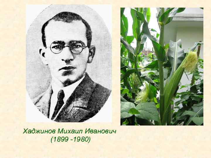 Хаджинов Михаил Иванович (1899 -1980) 