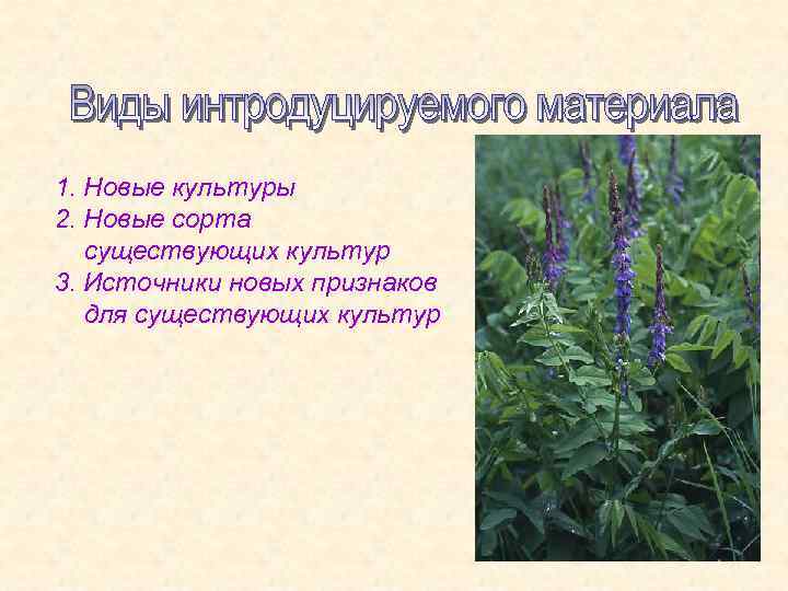 1. Новые культуры 2. Новые сорта существующих культур 3. Источники новых признаков для существующих