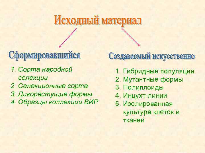 В каких направлениях развивается селекция