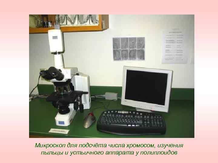 Микроскоп для подсчёта числа хромосом, изучения пыльцы и устьичного аппарата у полиплоидов 
