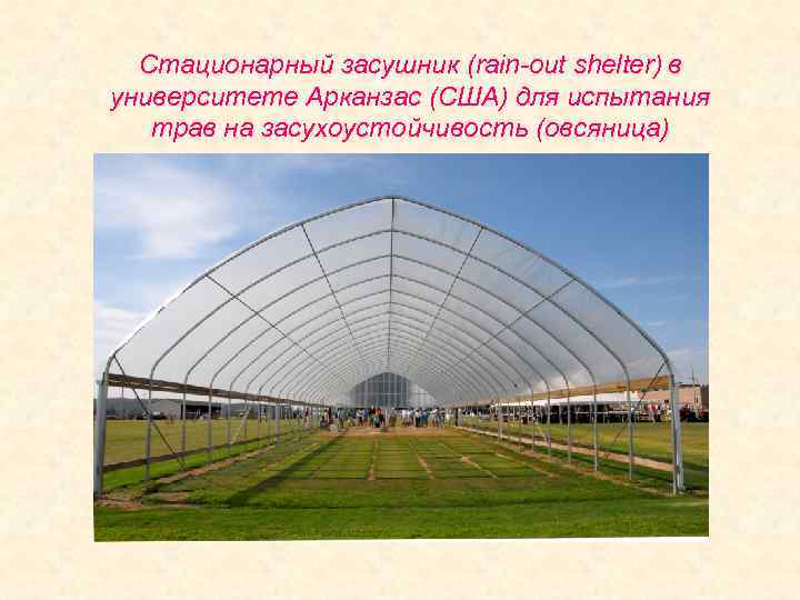 Стационарный засушник (rain-out shelter) в университете Арканзас (США) для испытания трав на засухоустойчивость (овсяница)