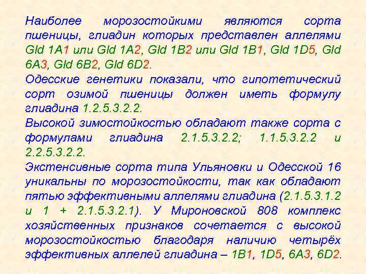 Наиболее морозостойкими являются сорта пшеницы, глиадин которых представлен аллелями Gld 1 А 1 или