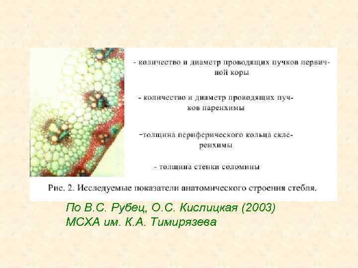 По В. С. Рубец, О. С. Кислицкая (2003) МСХА им. К. А. Тимирязева 