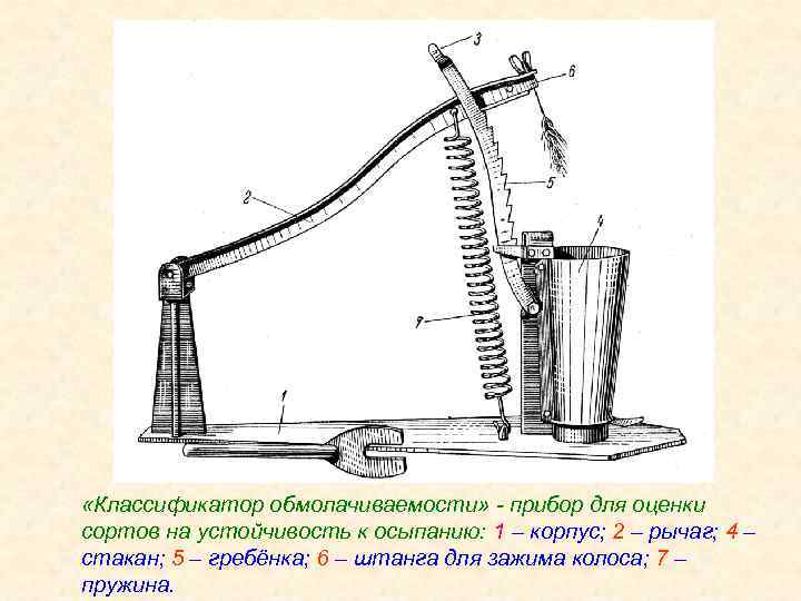  «Классификатор обмолачиваемости» - прибор для оценки сортов на устойчивость к осыпанию: 1 –