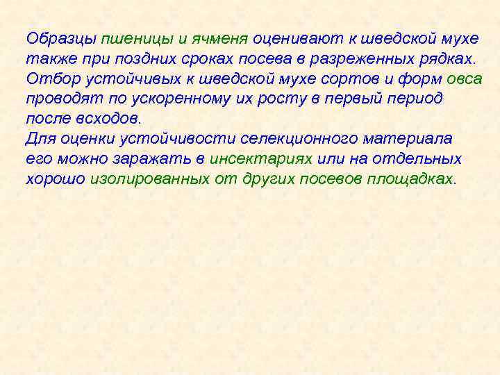 Образцы пшеницы и ячменя оценивают к шведской мухе также при поздних сроках посева в