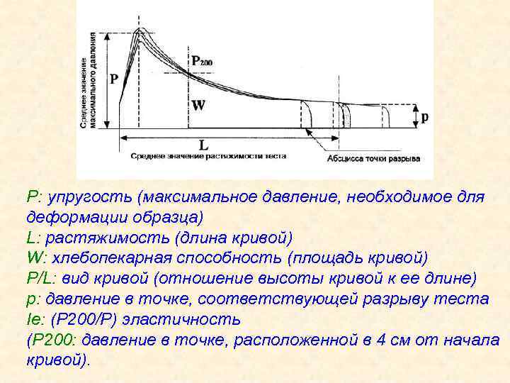P: упругость (максимальное давление, необходимое для деформации образца) L: растяжимость (длина кривой) W: хлебопекарная