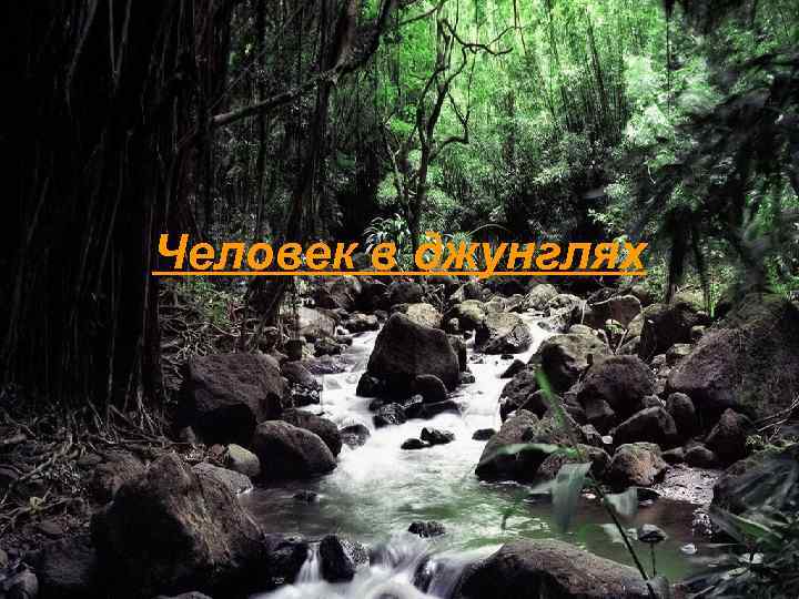 Человек в джунглях 