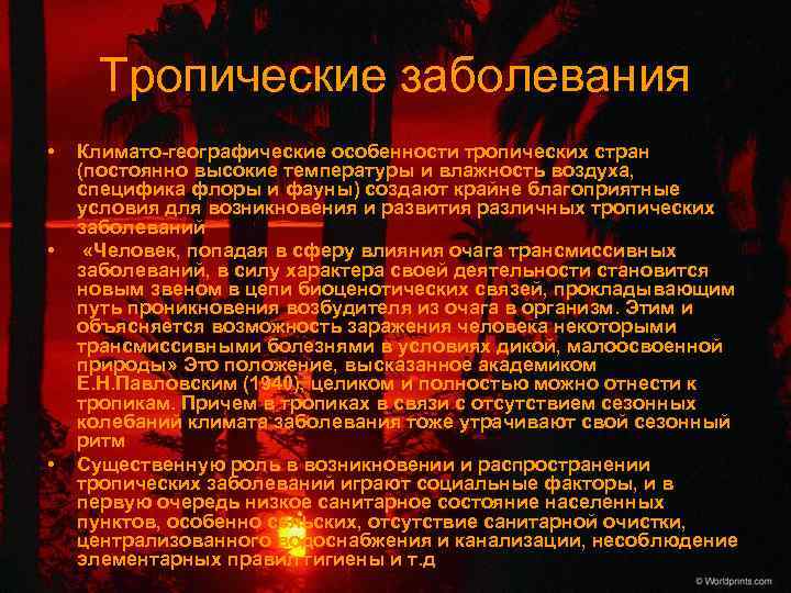 Тропические заболевания • • • Климато-географические особенности тропических стран (постоянно высокие температуры и влажность