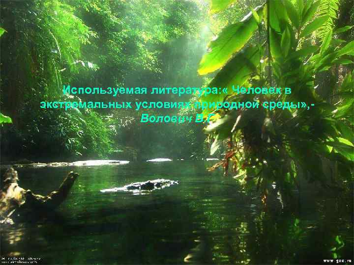 Используемая литература: « Человек в экстремальных условиях природной среды» , Волович В. Г 