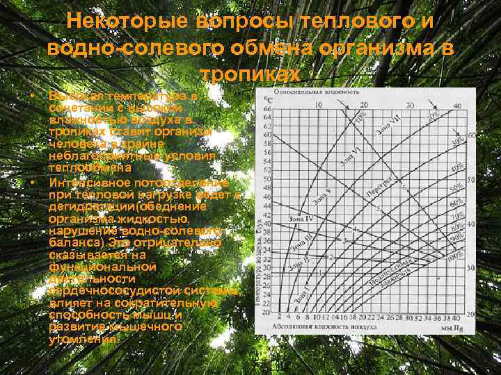 Некоторые вопросы теплового и водно-солевого обмена организма в тропиках • • Высокая температура в