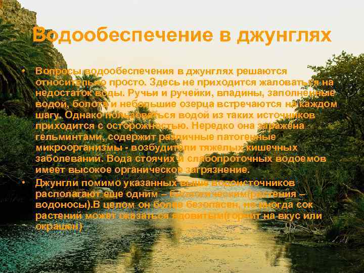 Водообеспечение в джунглях • Вопросы водообеспечения в джунглях решаются относительно просто. Здесь не приходится