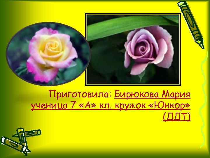 Приготовила: Бирюкова Мария ученица 7 «А» кл. кружок «Юнкор» (ДДТ) 